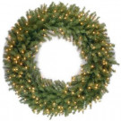48 in. Norwood Fir Artificial Wreath with Warm White LED Lights