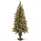 5 ft. Glittery Bristle Entrance Artificial Christmas Tree with Warm White LED Lights