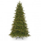 9 ft. Northern Frasier Fir Tree with Clear Lights