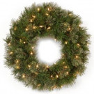 Atlanta Spruce 24 in. Artificial Wreath with Clear Lights