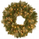 Carolina Pine 30 in. Artificial Wreath with Clear Lights
