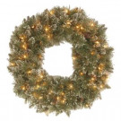 Glittery Bristle Pine 24 in. Artificial Wreath with Battery Operated Warm White LED Lights