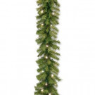 Norwood Fir 9 ft. Garland with Warm White LED Lights