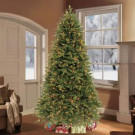 7.5 ft. Pre-Lit Frasier Fir Premium Artificial Christmas Tree with 800 Clear Lights