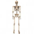 Full-Sized Pose and Stay Skeleton